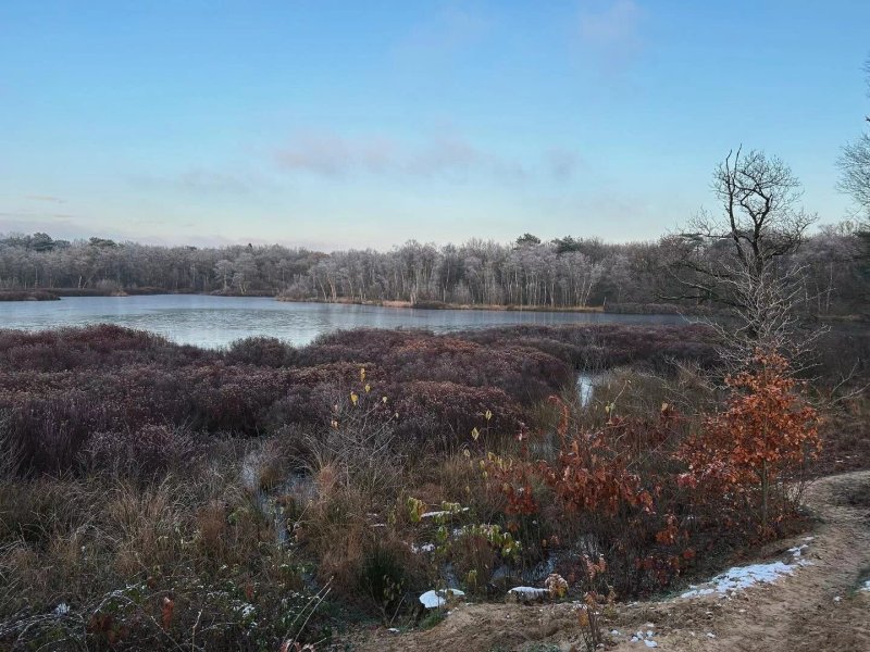 Park de Zeegser Duinen