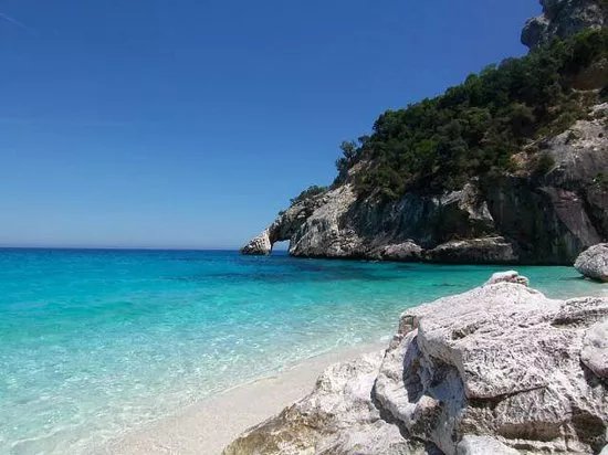 Motus Travel