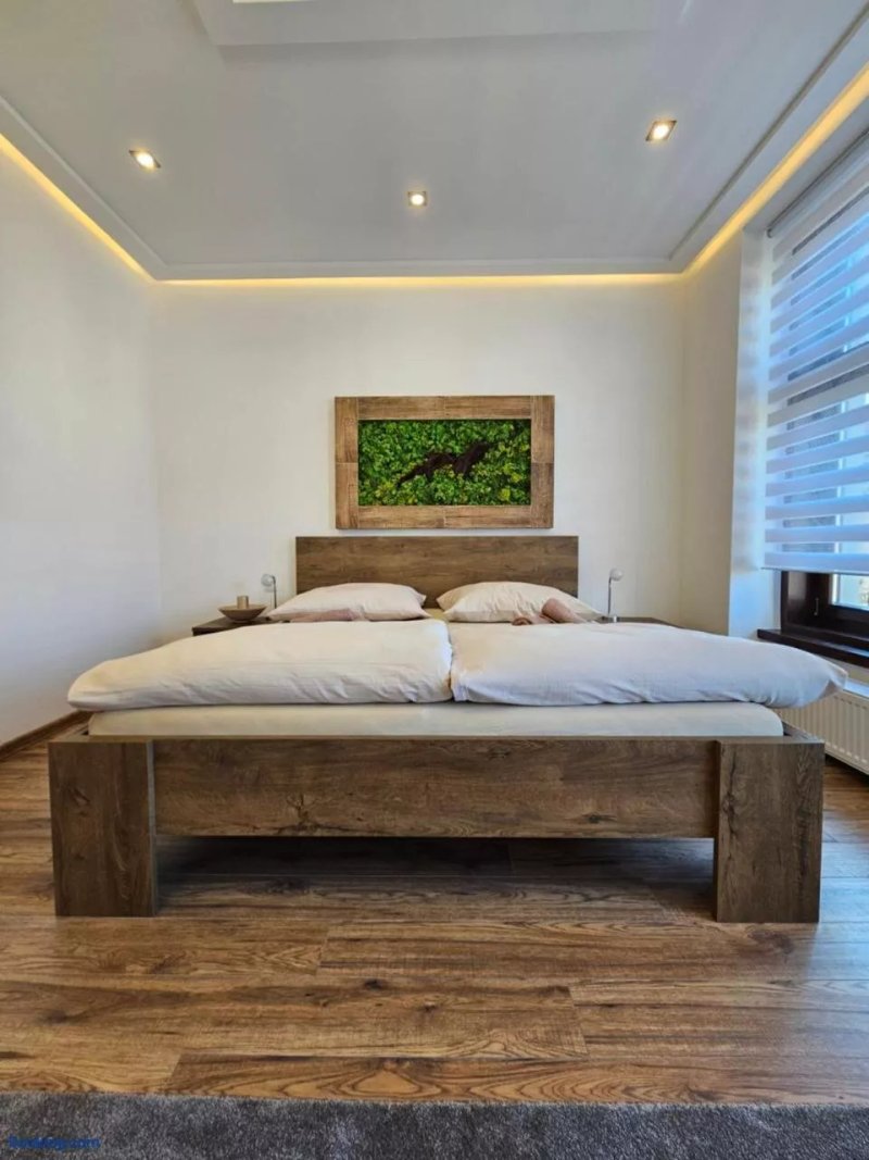 Apartmany Native