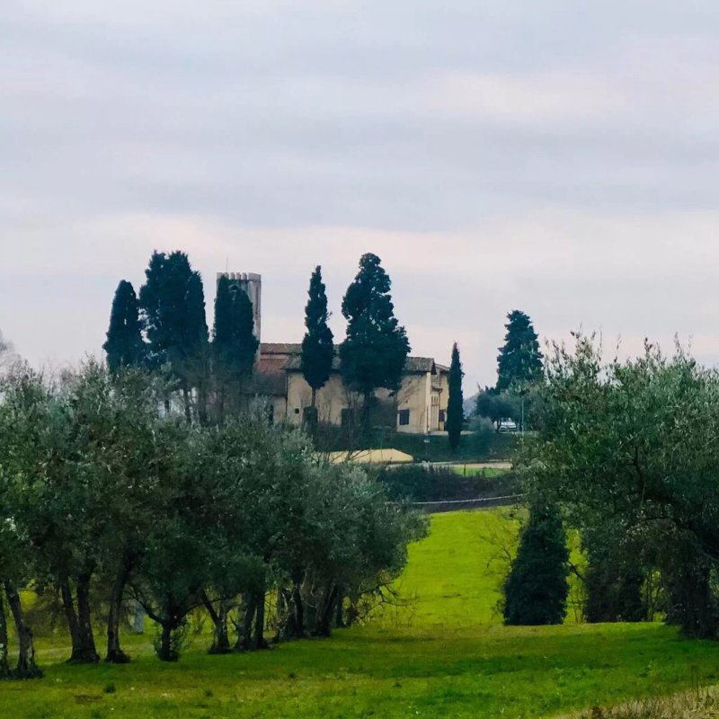 Fattoria Loppiano & Agriroom Regina Mundi