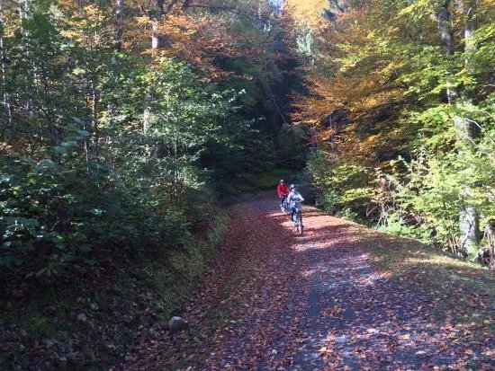 Mountainbikestation-Gefuhrte M-Bike Touren