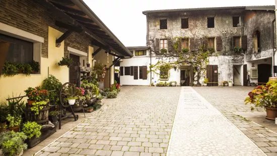 Distilleria Pagura