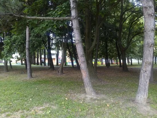 Park Druzby