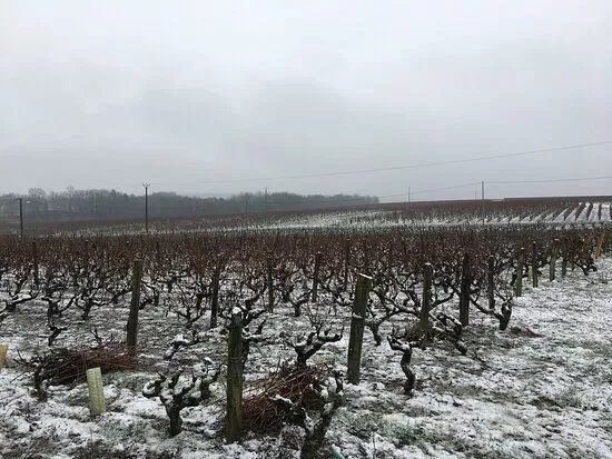 Domaine des Cormiers