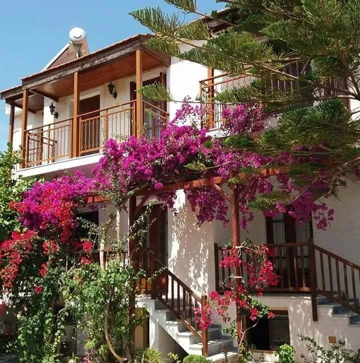 Studios Dionysos