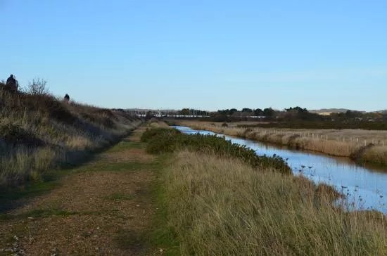 Thorney Island