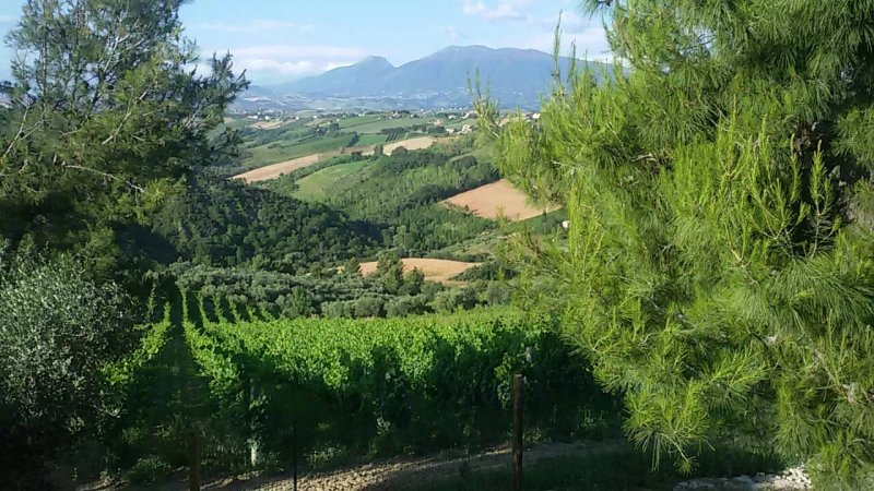 Agriturismo Il Chierico