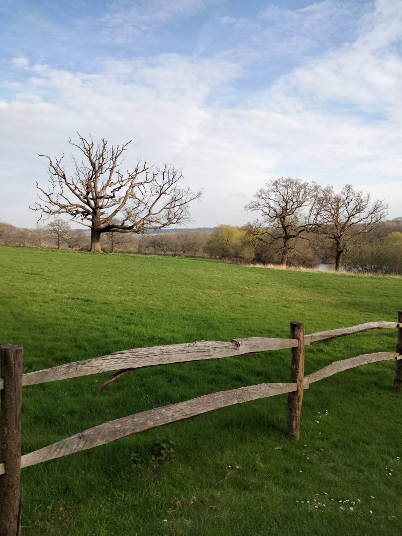 Glamping at Honnington Farm