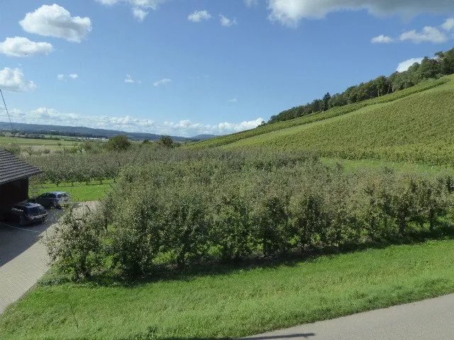 BnB Zum Hofmeister
