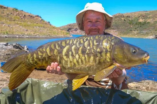 Carp Gran Canaria
