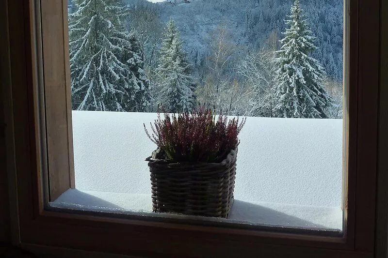 The new chalet Gerardmer Top Meix, panoramic view, wifi, sauna, south, near tra