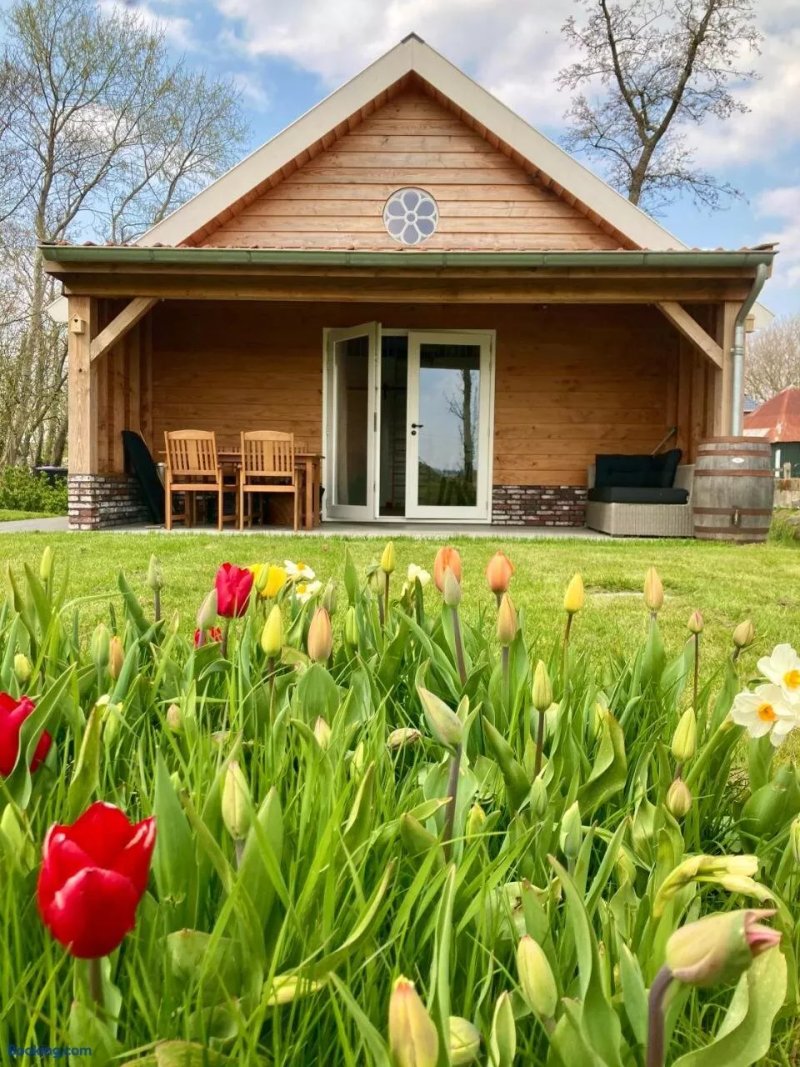 Lodges Near The Rhine