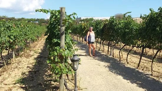 Bodegas Munar