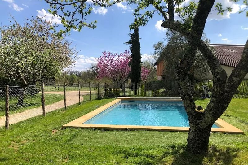 In a green setting, pretty farm (producing walnuts and strawberries), swimming