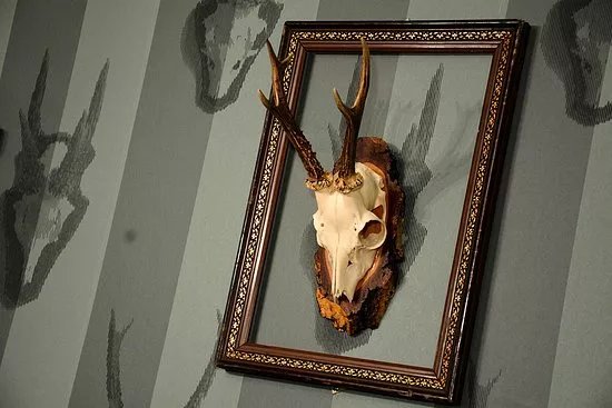 RaetselHaft - Live Escape Room