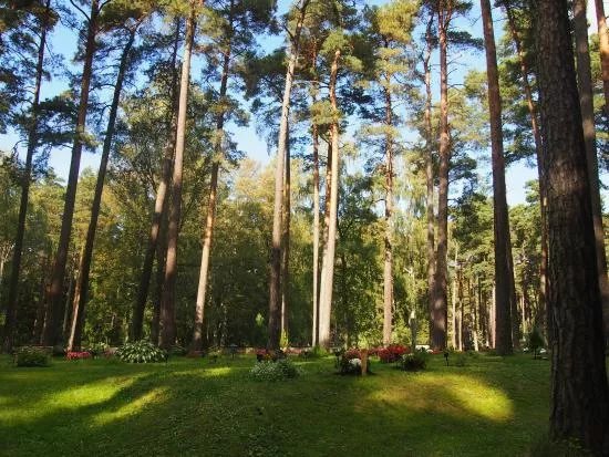 Skogskyrkogarden