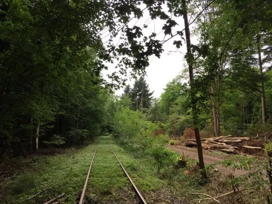 Sudpfalz Draisinenbahn