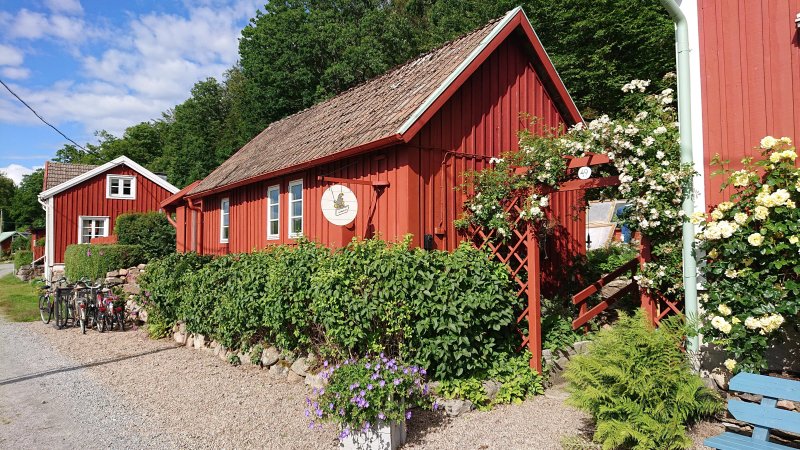 Den Gungande Gåsen - Järnavik