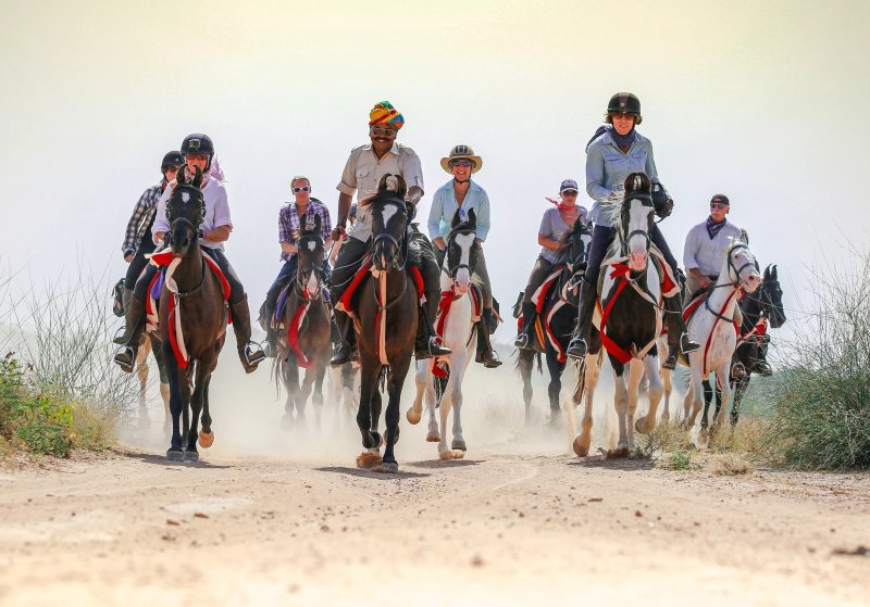 Horse India Ltd