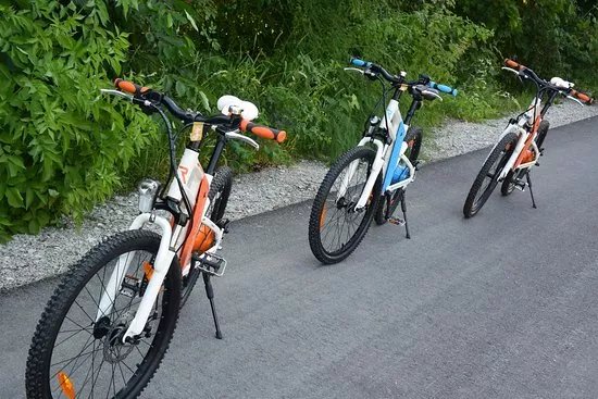 Fahrradverleih Forchheim