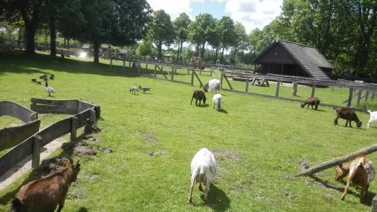 Wolfslaar Breda