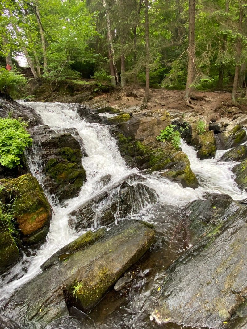 Selkefall