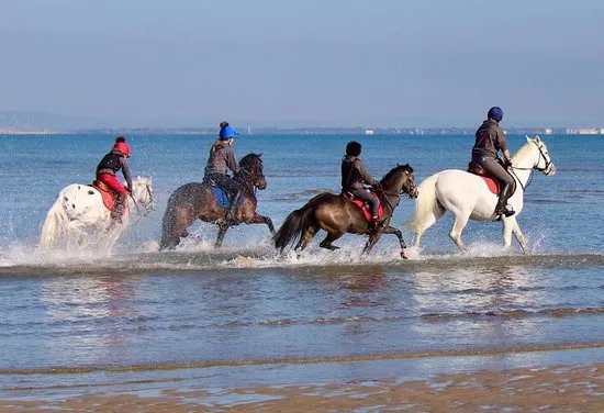 Island Riding Centre