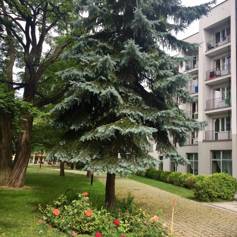 22 Wojskowy Szpital Uzdrowiskowo - Rehabilitacyjny
