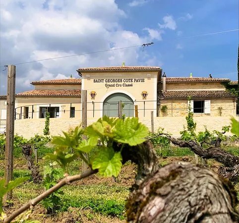 Chateau Saint-Georges Cote-Pavie