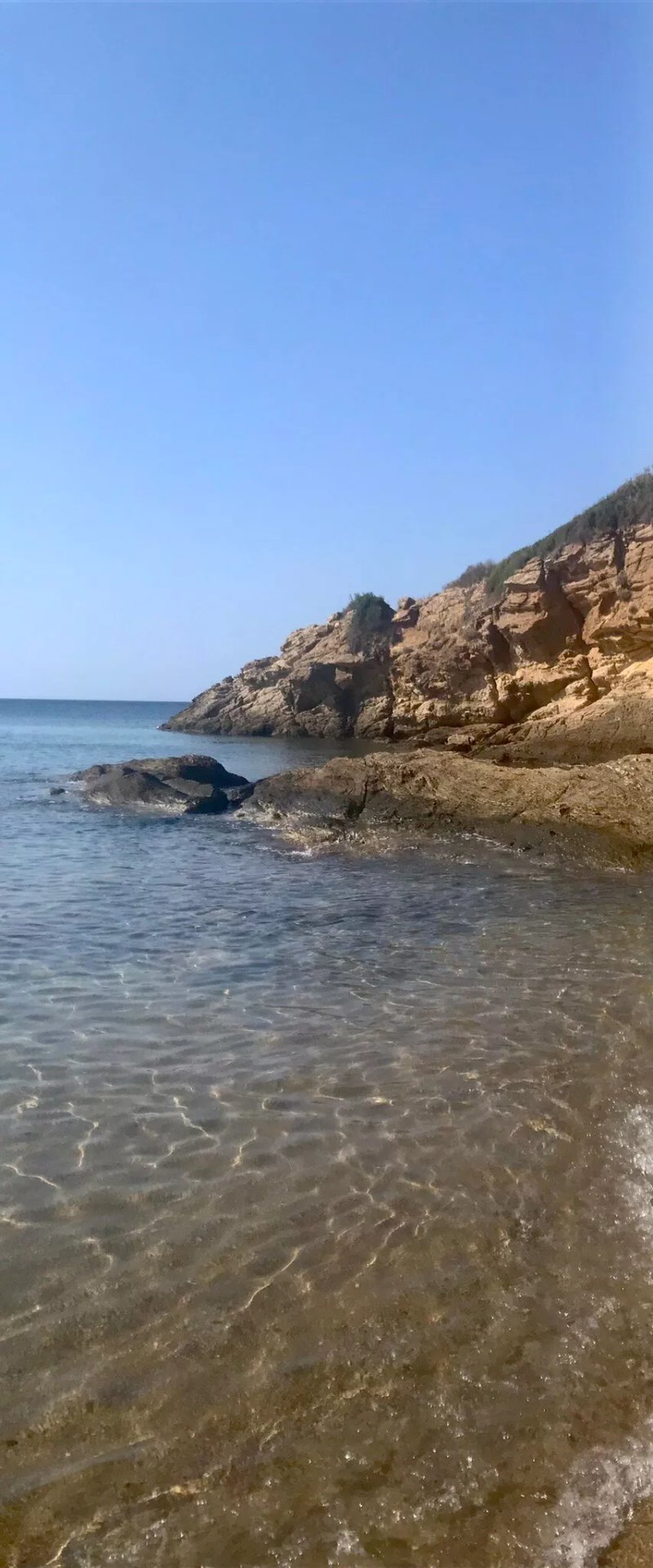 Lido I Palmizi