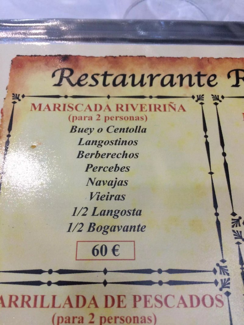 Ribeirina