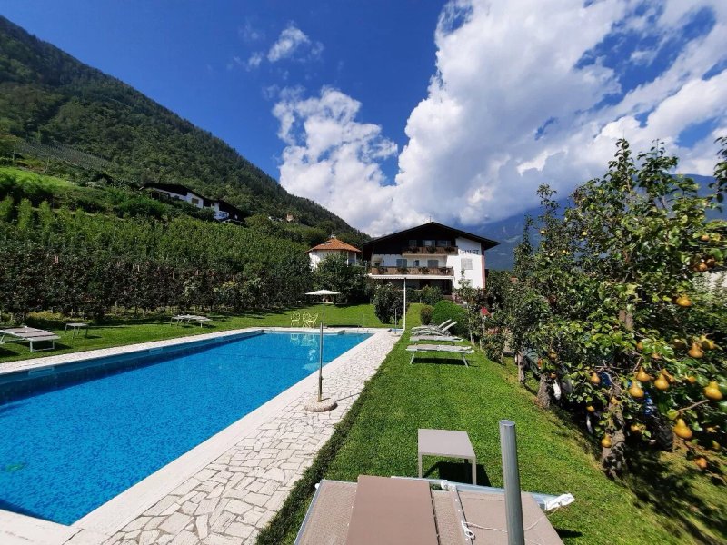 Pension Chalet