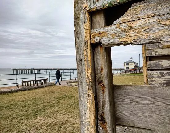 Wild Wight Photography Tours