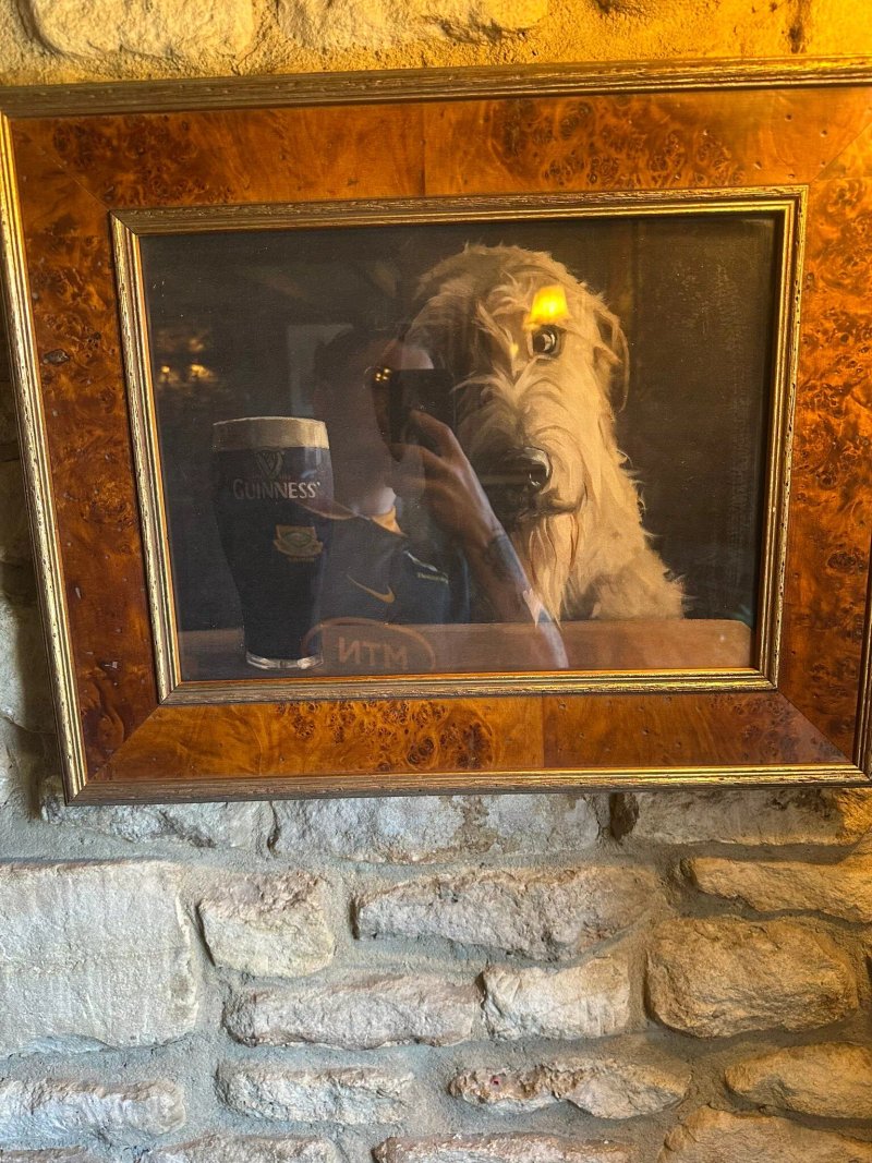 The Dog House