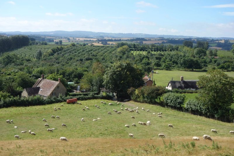 Burrow Hill Bed and Breakfast