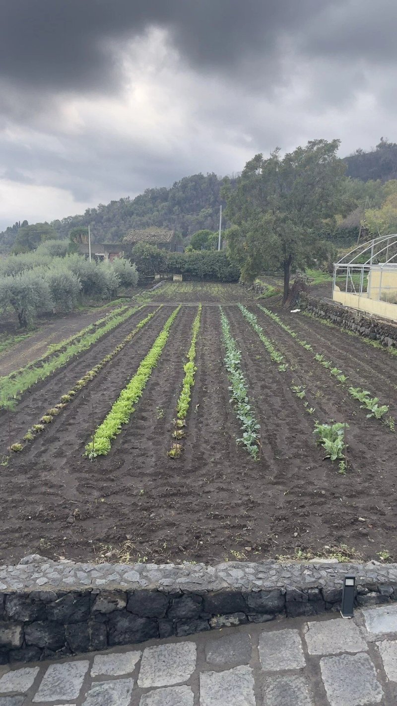 Cantine La Contea