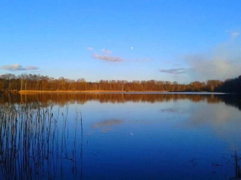 Holiday between city bustle and Landidylle in quality apartment