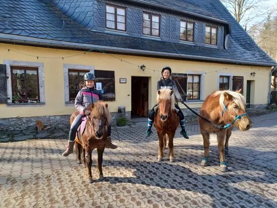 Pferde - und Ponyausleihstation Markus Rohling