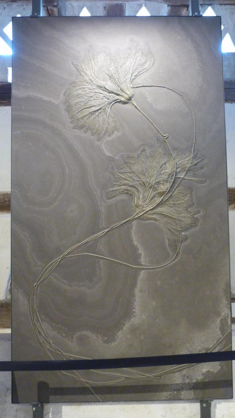Urweltmuseum Bodman