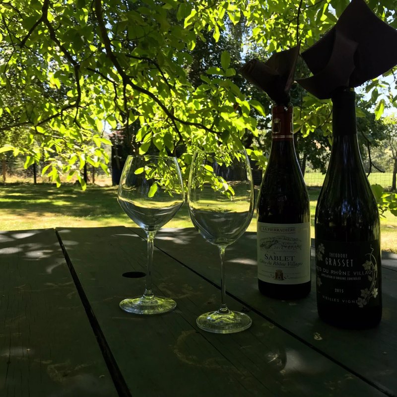 Des Genets sur l'Herbe