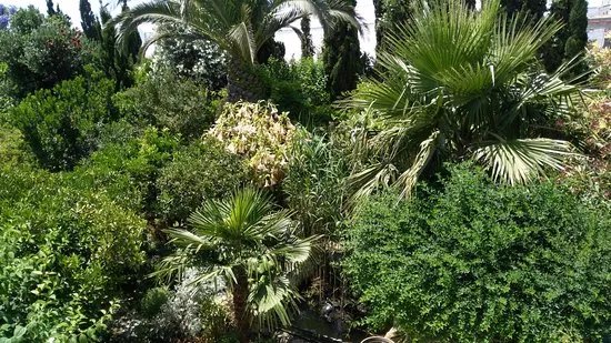 Jardin Botanico La Almunya del Sur