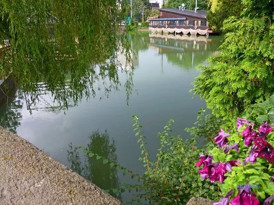 Ariana Lake