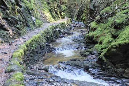 Puck's Glen