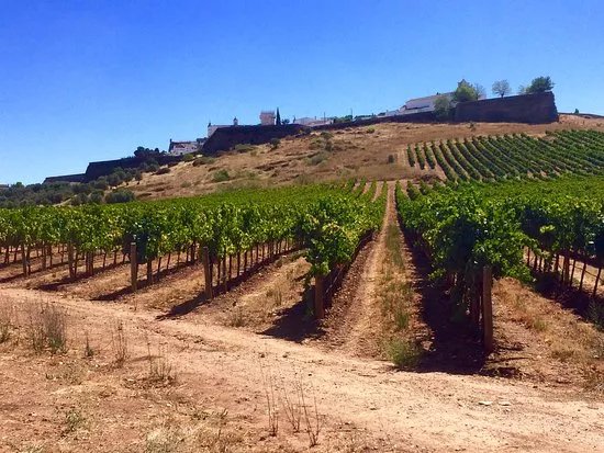 Joao Portugal Ramos Wines