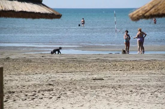 Lido di Fido