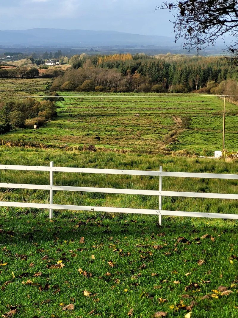 Tiernan's Luxury Cottages