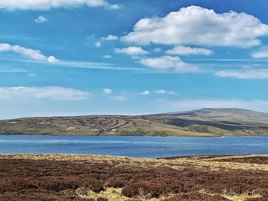 Cow Green Reservoir