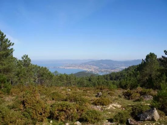 Petroglifos de Baiona