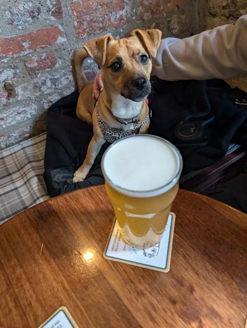 Harry's Bar - Alnwick