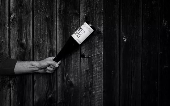 Weingut Stefan Potzinger